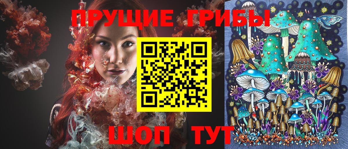 Галлюциногенные грибы прущие грибы  купить  цена  Кизляр  Вход с VPN 